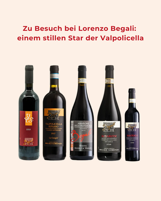 Amarone von Lorenzo Begali aus der Valpolicella Classica bei Verona