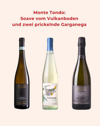 Soave-Weinberge von Monte Tondo auf vulkanischem Boden bei Verona