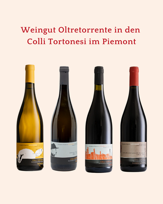 Weinberge von Oltretorrente in den Colli Tortonesi im Piemont