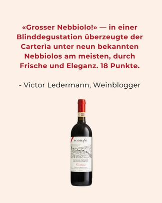 Steile Weinterrassen von Sandro Fay im Veltlin, Alpen-Nebbiolo