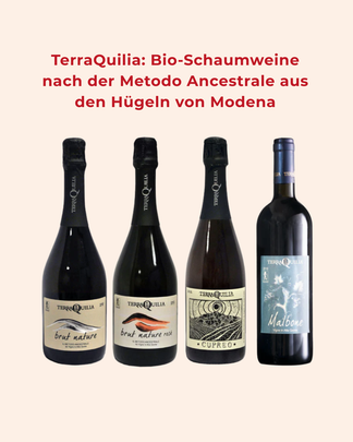Bio-Schaumwein von TerraQuilia aus den Hügeln von Modena, Metodo Ancestrale