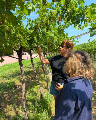 Unsere dritte Weinreise: Teil 2 im Veneto