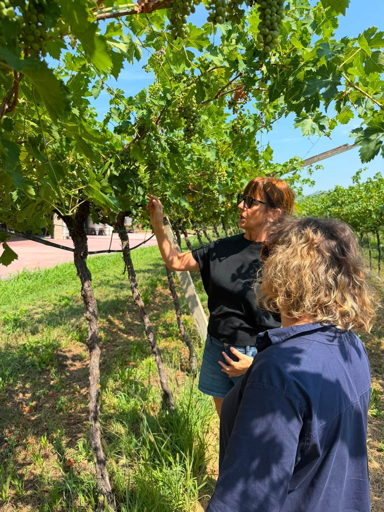 Unsere dritte Weinreise: Teil 2 im Veneto