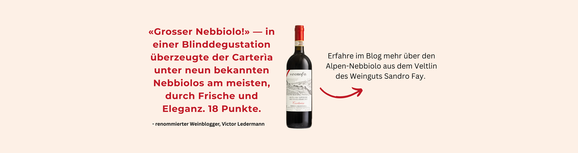 SANDRO_FAY_DER_ALPEN-NEBBIOLO_AUS_DEM_VELTLIN_1